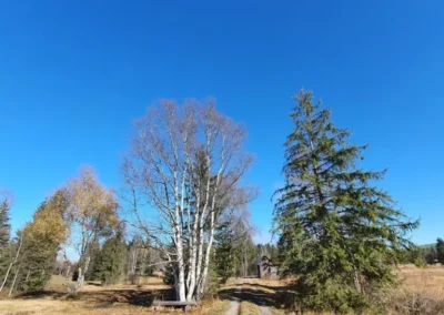 Naturschutzgebiet Geocaching unterwegs